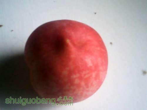 UC_Photo_013.jpg