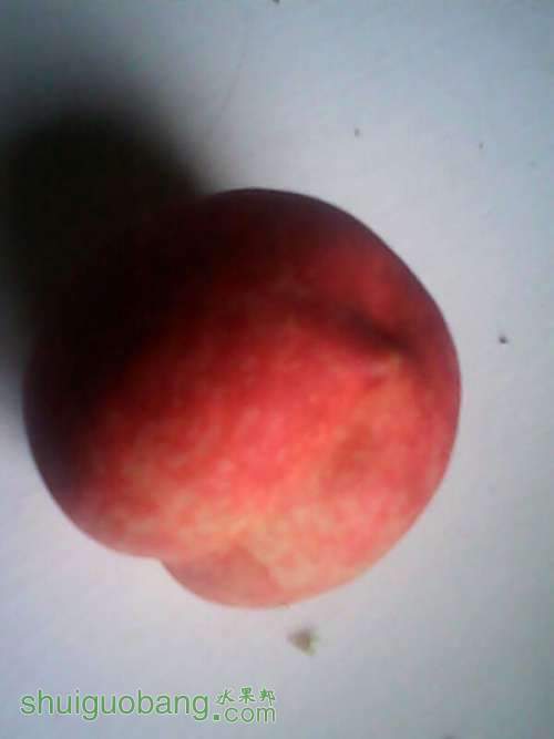 UC_Photo_014.jpg
