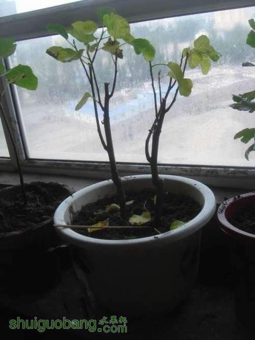 ������С DSC02465.JPG