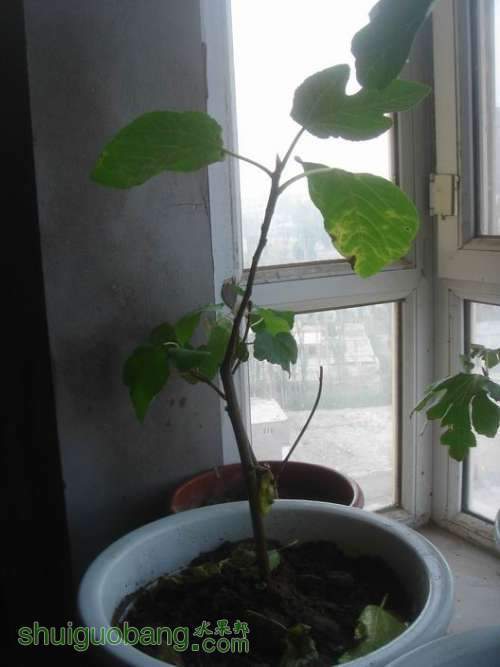 ������С DSC02468.JPG
