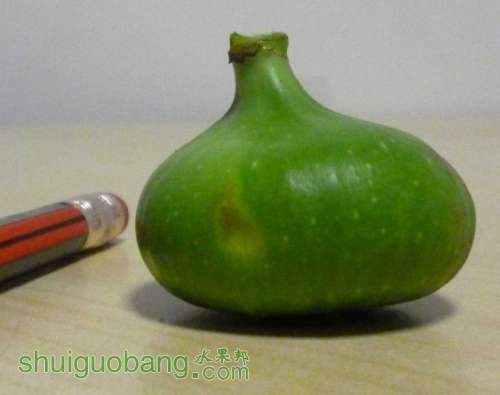 333333.jpg