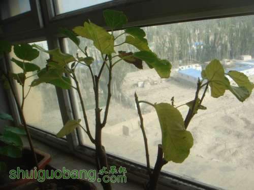 ������С DSC02486.JPG