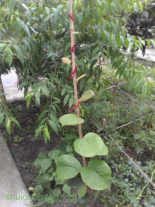 WP_001209.jpg