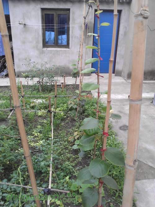 WP_001213.jpg