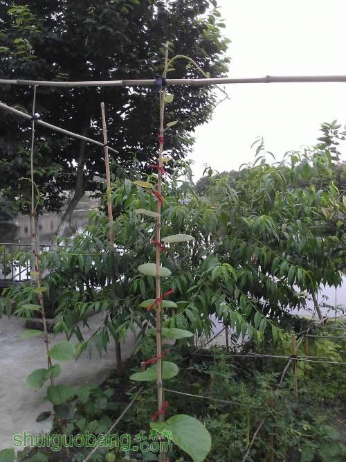 WP_001215.jpg