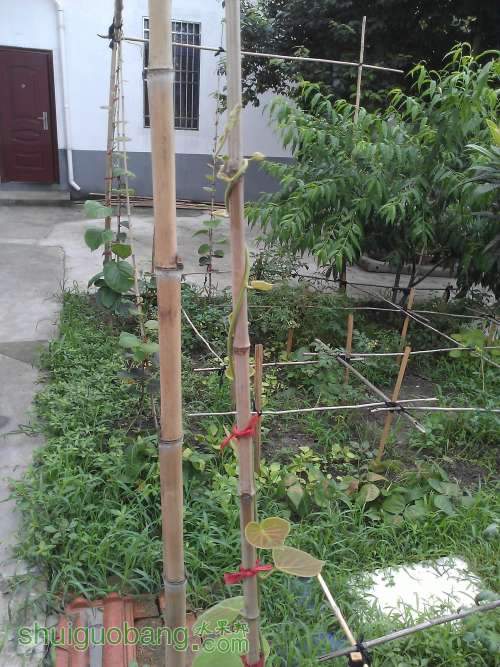 WP_001222.jpg