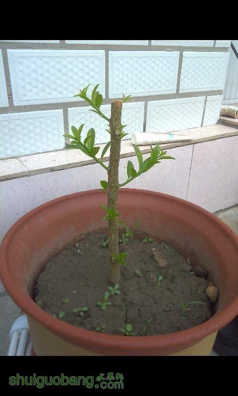 QQͼƬ20130629102158.jpg