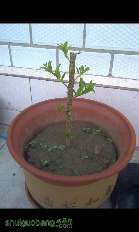 QQͼƬ20130629102206.jpg