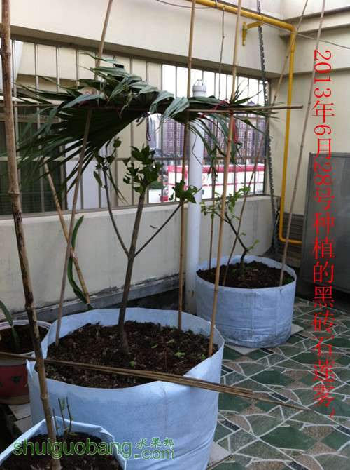 Ƭ 070_.jpg