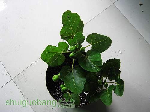IMG_0112_nEO_IMG.jpg
