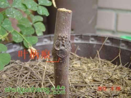 1027097efes3s1l7ele3lu.jpg