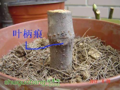 102706jqb6zxeuq0lkxlue.jpg