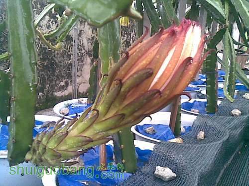 20130604(005).jpg