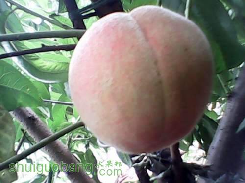 UC_Photo_023.jpg