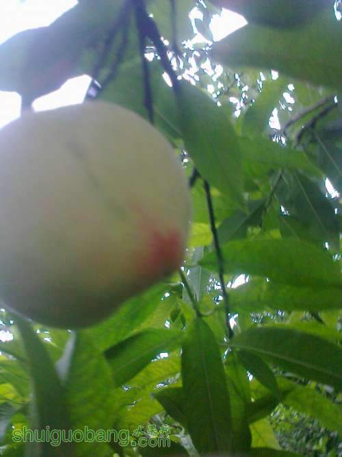 ��Ƭ0257.jpg