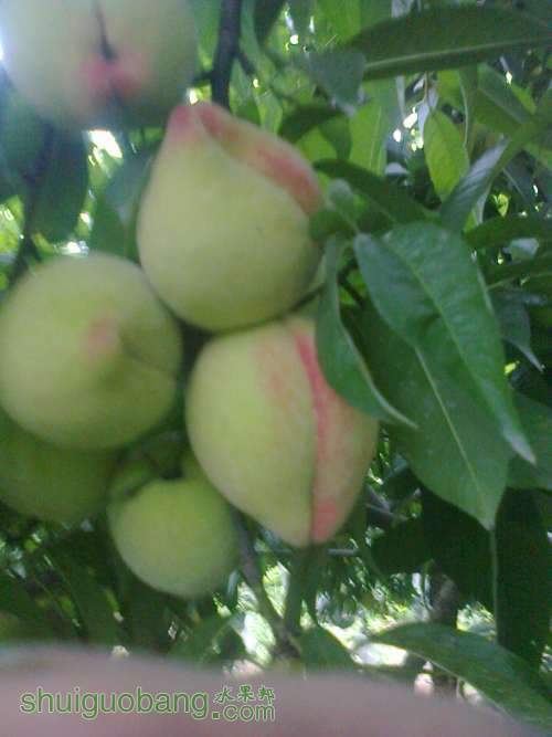 ��Ƭ0260.jpg