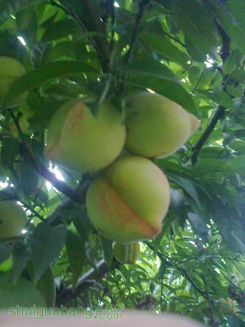 ��Ƭ0261.jpg