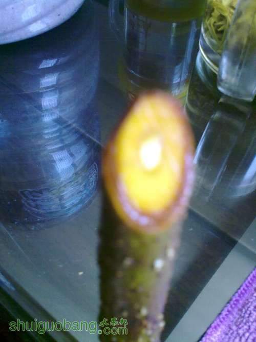 2013.6.27 002.jpg