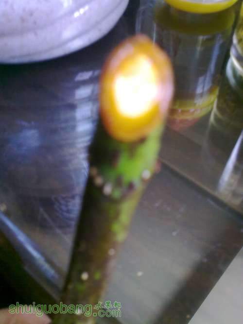 2013.6.27 003.jpg