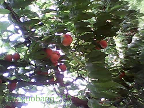 IMG_20130629_105013.jpg