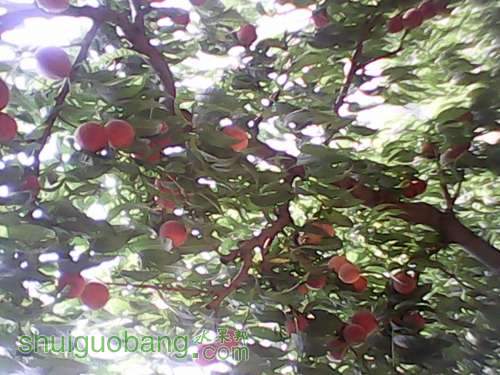 IMG_20130629_105005.jpg