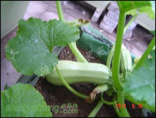 dsc00729.jpg