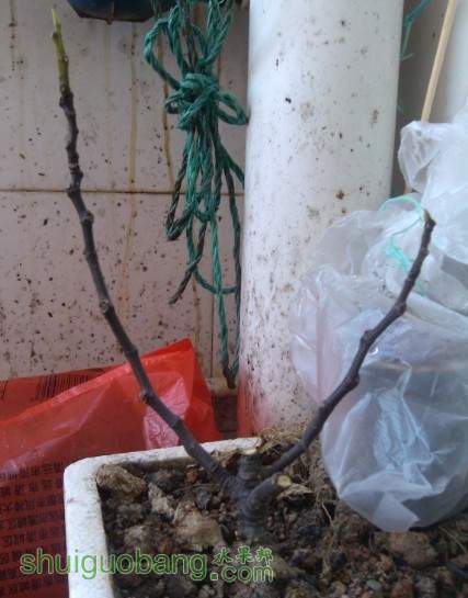 QQͼƬ20130701090405.jpg