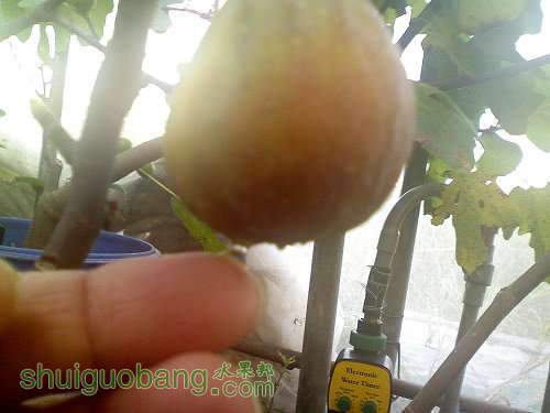 DSC00005.JPG