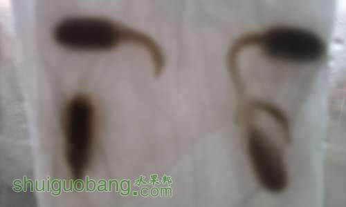 ��Ƭ0881.jpg