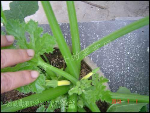 dsc00839[1].jpg