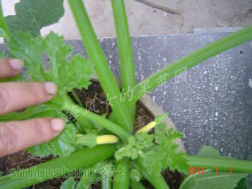 dsc00839[2].jpg