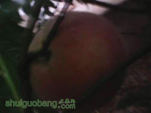 UC_Photo_024.jpg