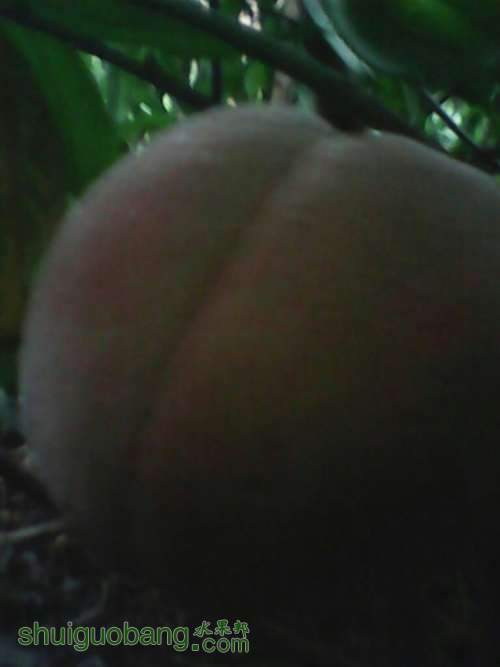 UC_Photo_025.jpg