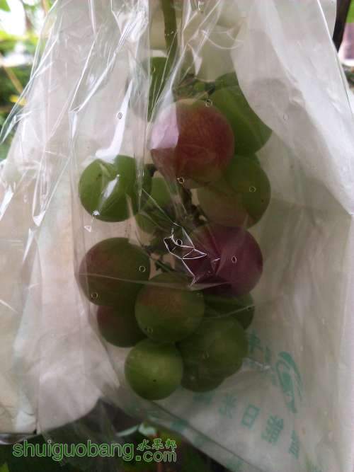 �Ա�������ϼ�飿�� 2013-6-30-1.jpg