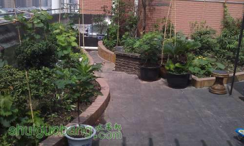 ��԰�뾰 2013-6-30.jpg