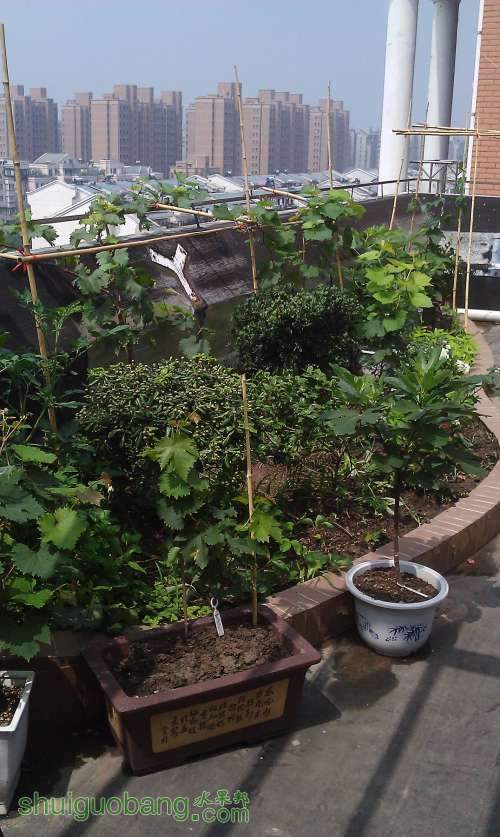 ��԰�ķ�֮һ�� 2013-6-30.jpg