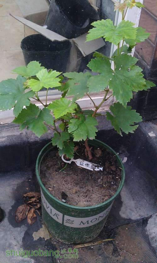 ��������� 2013-6-30.jpg