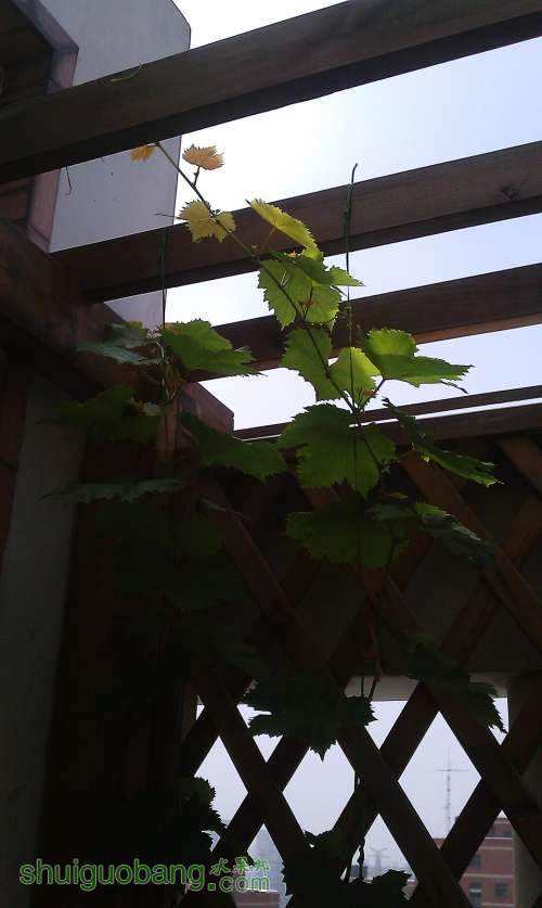 �ĺ��ϼ�ͼ 2013-6-30.jpg