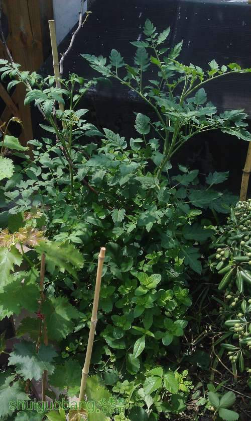 ���Է����뱡�� 2013-6-30.jpg