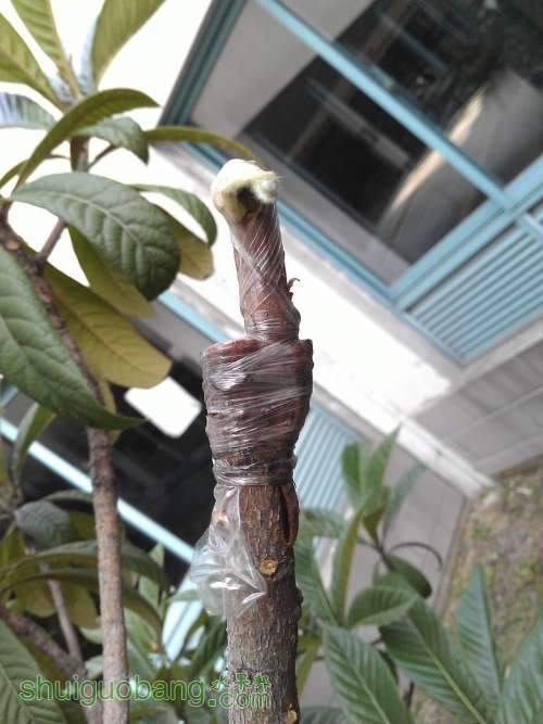 WP_001251.jpg