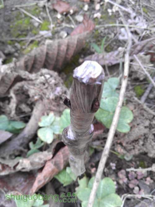 WP_001260.jpg