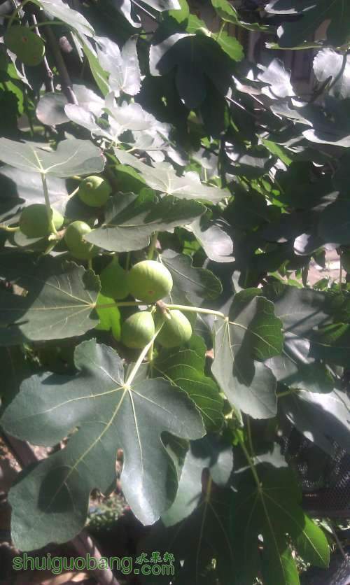 IMAG0770.jpg