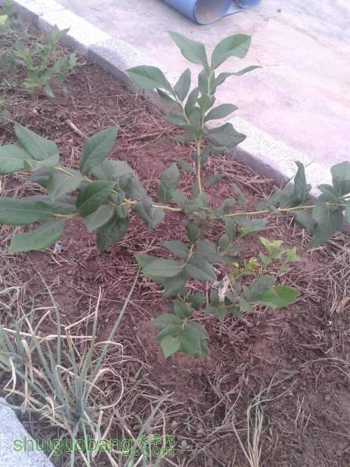2013-06-06 06.28.47.jpg
