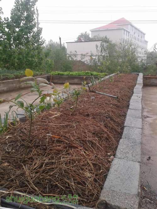2013-04-23 06.55.04.jpg