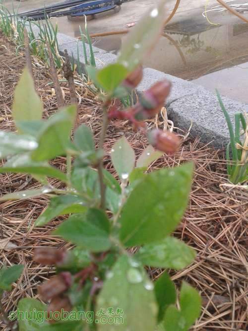 2013-04-23 06.54.04.jpg