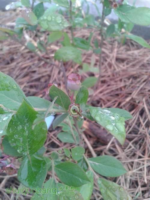2013-04-23 06.53.54.jpg