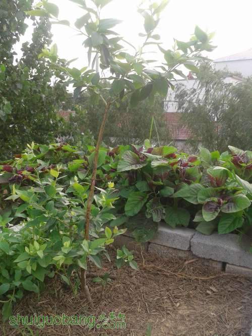 2013-07-02 06.33.40.jpg