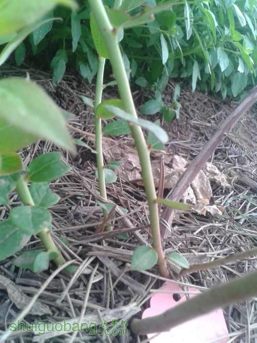 2013-07-02 06.32.49.jpg