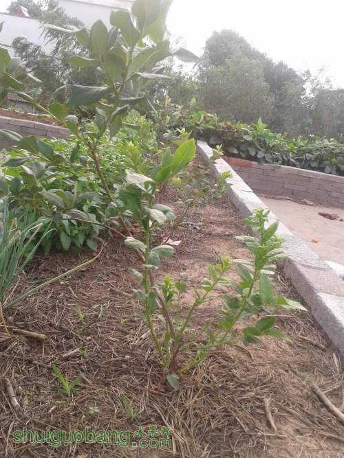 2013-07-02 06.32.30.jpg