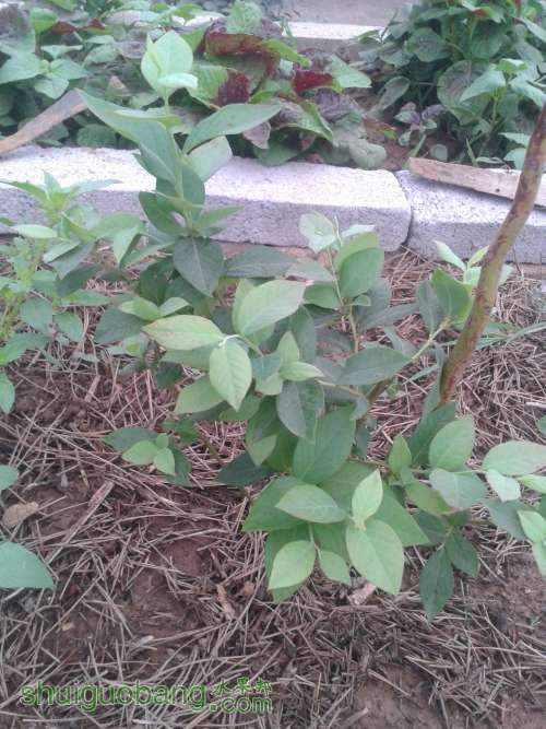 2013-06-06 06.30.06.jpg